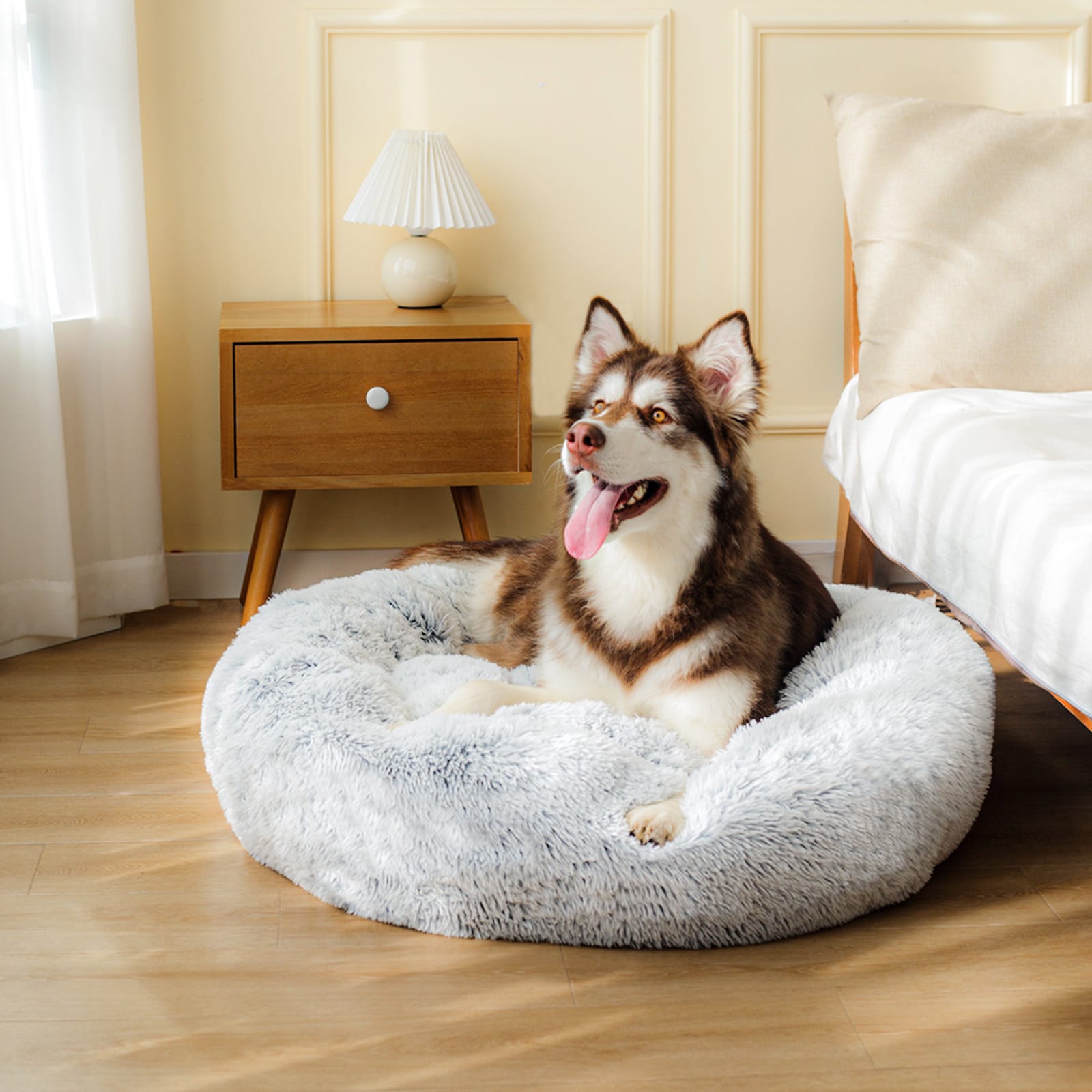 Soothing fashion bed dog